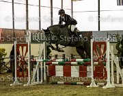 Edwina FZ TosTour2013- S5 3216 : Arezzo, Arezzo Equestrian Centre, Cavalli d'Italia, Edwina FZ, Toscana Tour 2013, foto di Stefano Secchi ©